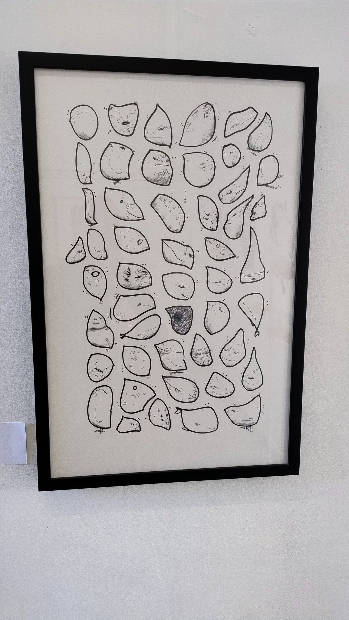 481079876 598807632976521 5215127010013813039 n
