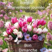 749b5ba4 fcb7 4bb7 90cc 1d3bdd344e08